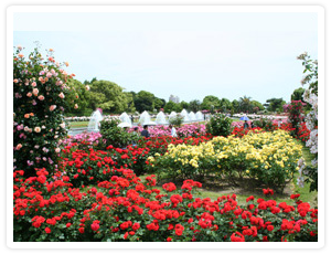 須磨離宮公園