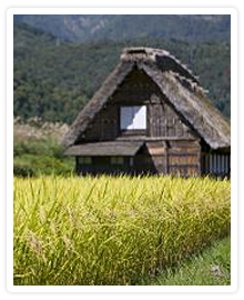 岐阜県の写真