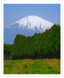 静岡県の写真