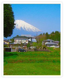 山梨県の写真